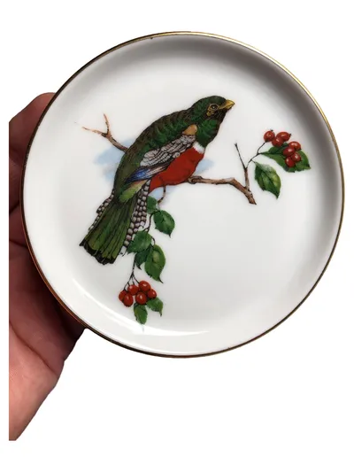 FÜRSTENBERG Sammelteller Vogel Motiv Klassisch Porzellan Mehrfarbig 10cm