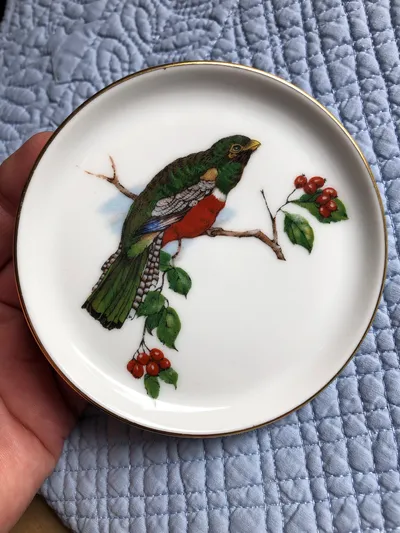 FÜRSTENBERG Sammelteller Vogel Motiv Klassisch Porzellan Mehrfarbig 10cm