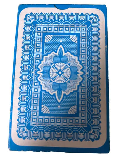 ASS Skat Kartenspiel Französisches Bild 32 Blatt mit Spielanleitung
