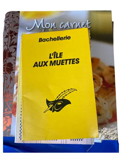 L'Île aux Muettes Roman Französisches Taschenbuch Vogel Motiv Gelb
