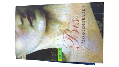 Bis zum Morgengrauen Stephenie Meyer Taschenbuch Liebesroman Bestseller Deutsch