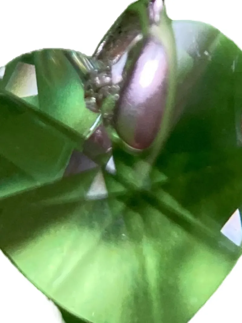 Swarovski Halskette Anhänger Herz Grün Damen Elegant Kristall 4
