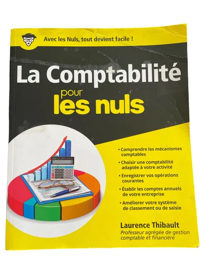 Buchhaltung für Anfänger Fachbuch Wirtschaft Rechnungswesen Laurence Thibault