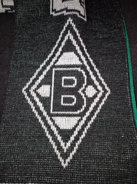 Borussia Mönchengladbach Fanschal Logo Grün Schwarz 16x150cm Herren Sport 2