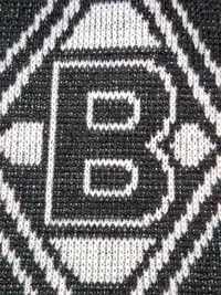 Borussia Mönchengladbach Fanschal Logo Grün Schwarz 16x150cm Herren Sport 3