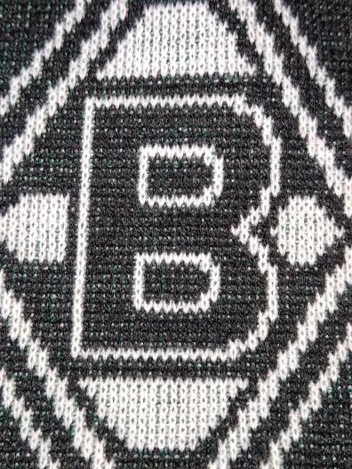 Borussia Mönchengladbach Fanschal Logo Grün Schwarz 16x150cm Herren Sport 3
