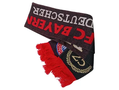 FC Bayern München Schal Deutscher Meister 2015 Fanschal 25 Titel 160 cm