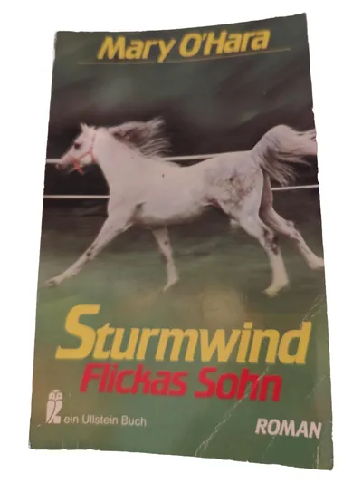 Sturmwind Roman Mary O'Hara Ullstein Taschenbuch Deutsch Unterhaltungsliteratur