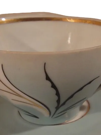 Leuchtenburg Tasse Untertasse Porzellan Vintage Blatt Florales Muster Weiß 4cm