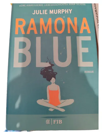 Ramona Blue Fischer FJB Liebesroman Coming of Age LGBTQ+ Liebe