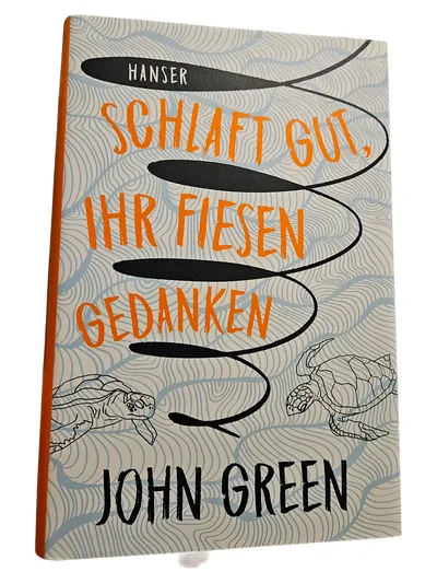 John Green Schlaft gut, ihr fiesen Gedanken Jugendbuch Taschenbuch