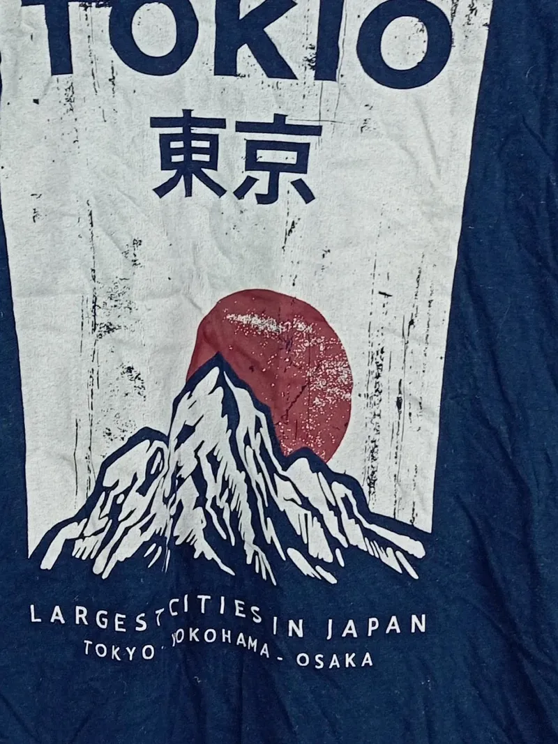 Carrera Herren T-Shirt Tokio Japan Berg Motiv Gr. L Blau Casual 3