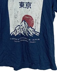 Carrera Herren T-Shirt Tokio Japan Berg Motiv Gr. L Blau Casual 4