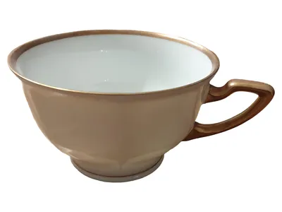 Zeh Scherzer & Co Bavaria Teetasse Porzellan Beige Gold 50 Jahre