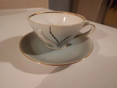 Leuchtenburg Tasse Untertasse Porzellan Vintage Blatt Florales Muster Weiß 4cm