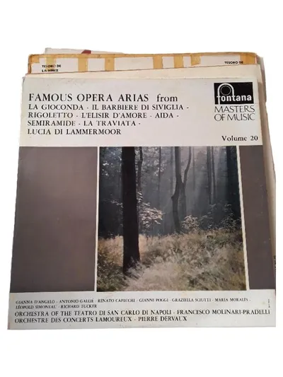 Famous Opera Arias Vinyl LP Fontana Masters of Music Vol. 20 Klassik Oper