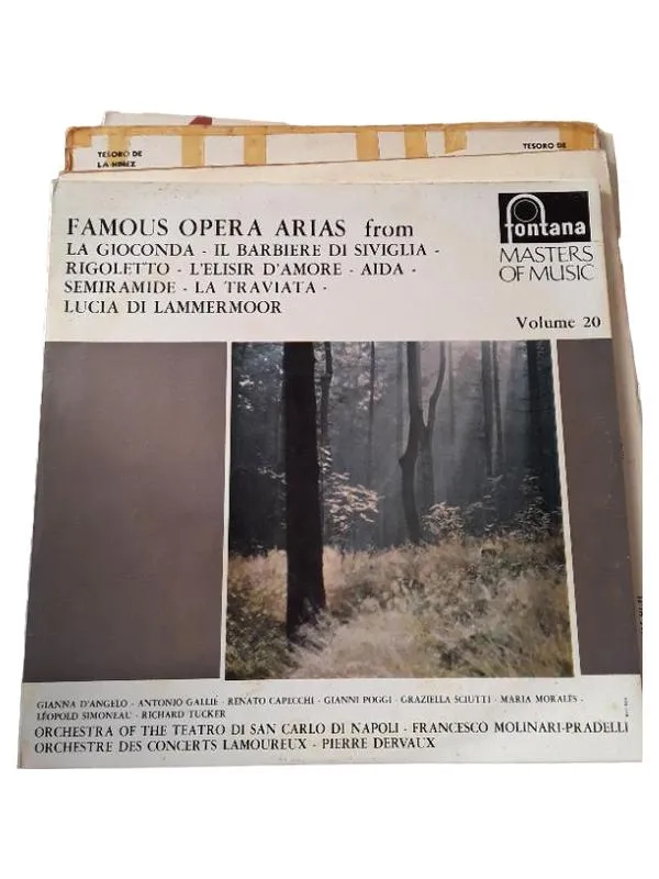 Famous Opera Arias Vinyl LP Fontana Masters of Music Vol. 20 Klassik Oper 1