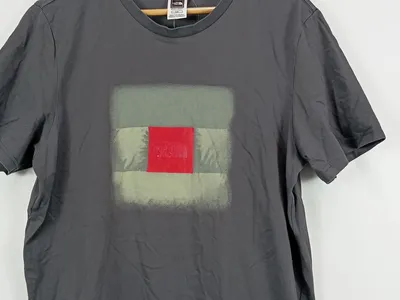 The North Face Herren T-Shirt Gr. L Grau Outdoor Logo Print