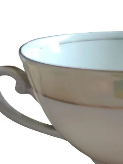 Bavaria Kaffeetasse Vintage Mehrfarbig Porzellan 200ml Sammlerstück