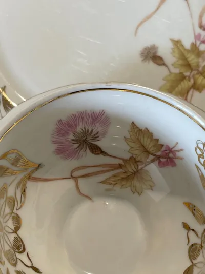 Bareuther Bavaria Sammelgedeck Kaffeetasse Untertasse Kuchenteller Vintage