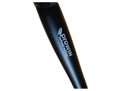 proWIN Natural Wellness Make-up Pinsel Schwarz