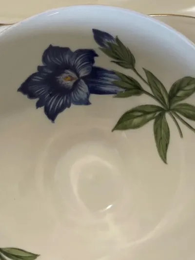 Alka-Kunst Alboth & Kaiser Kaffeetasse Untertasse Enzian Bavaria Porzellan