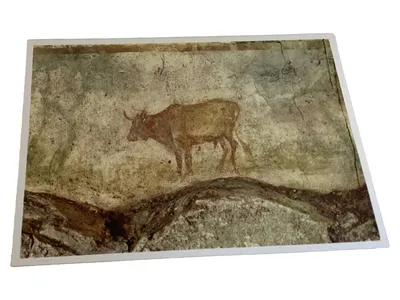 Ansichtskarte Postkarte Antikes Fresko Kuh Rind Wandmalerei Kunst