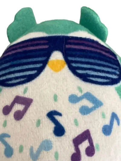 Squishmallows Eule Plüschtier Kuscheltier mit Sonnenbrille Musiknoten Mehrfarbig