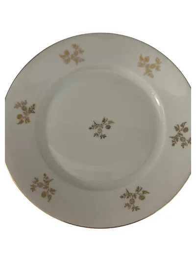 Bavaria Essteller Speiseteller Klassisch Weiß Gold Blumen 20cm