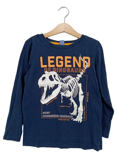 dopodop Langarmshirt Jungen Dinosaurier Blau Gr. 122