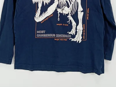 dopodop Langarmshirt Jungen Dinosaurier Blau Gr. 122