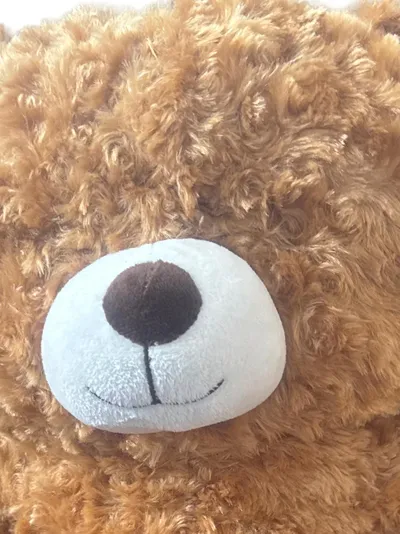 Toys Amsterdam Teddybär Plüschtier Braun Baby Kuscheltier Kuschelbär