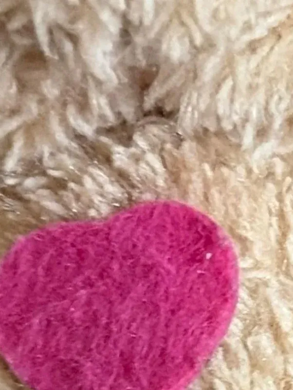 Blue Ocean Entertainment AG Teddybär Kuscheltier mit Herz Beige 13cm 2