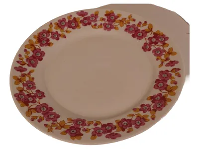 Ilmenau Graf von Henneberg Porzellan Wandteller Blumenmuster Vintage Weiß 19cm