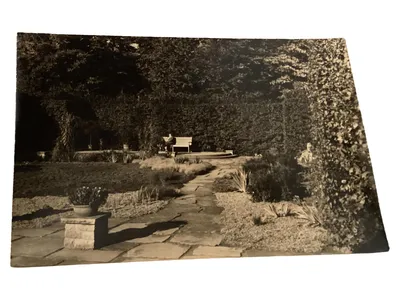 Vintage Ansichtskarte Postkarte Garten Parkanlage Schwarz-Weiß Fotografie