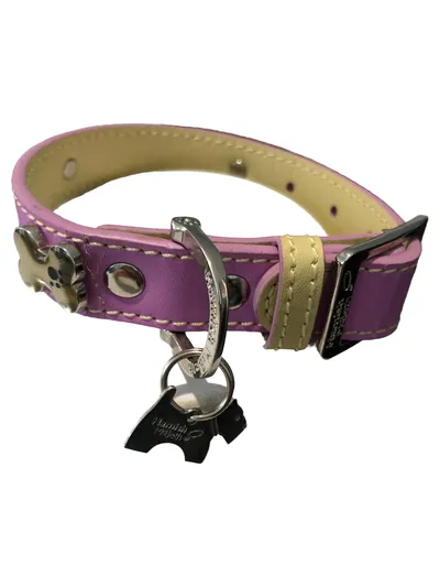 Hamish McBeth Hundehalsband Mehrfarbig Lila mit Knochen-Anhänger