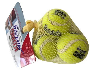 KONG AirDog Hundeleine Gelb