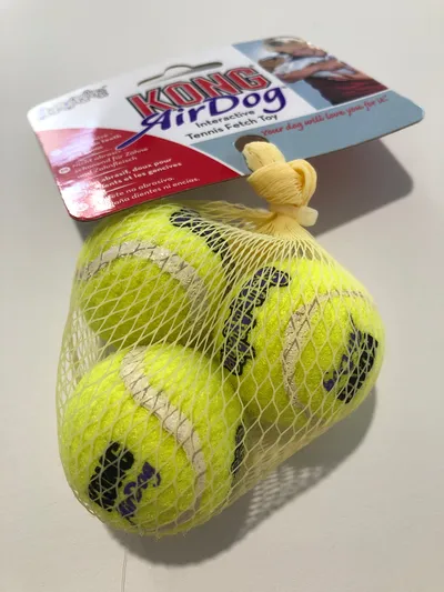 KONG AirDog Hundeleine Gelb