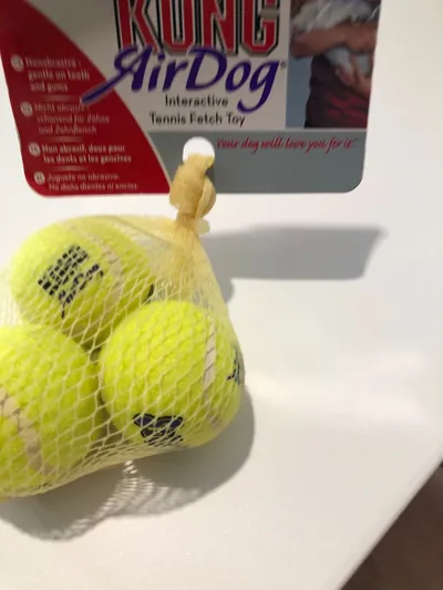 KONG AirDog Tennisbälle für Hunde 3er Pack Gelb Apportierspielzeug