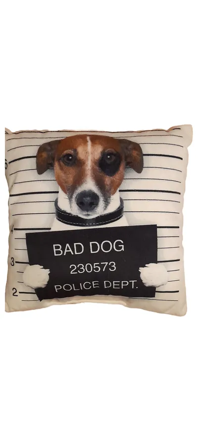 Dekokissen Bad Dog Hund Mugshot 25x25 cm Polyester OEKO-TEX Kissen