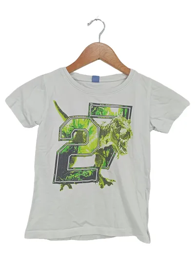 dopodopo T-Shirt Jungen Gr. 122 Dinosaurier Print Grau Baumwolle