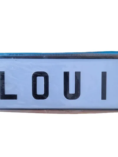 Out of the blue Blechschild Kennzeichen Louis Mehrfarbig Deko Schild