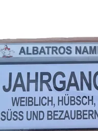 Albatros Blechschild Retro Namensschild Jahrgang 2007 Mehrfarbig Schriftzug 3