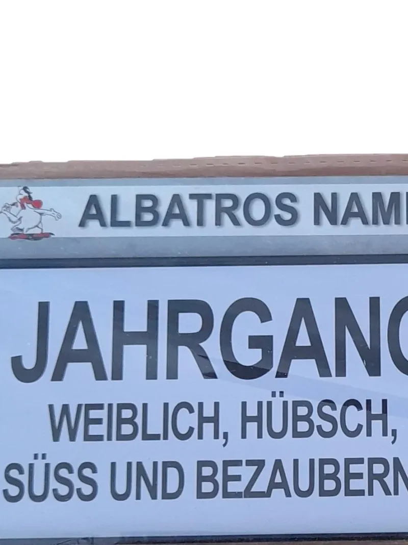 Albatros Blechschild Retro Namensschild Jahrgang 2007 Mehrfarbig Schriftzug 3