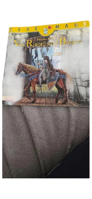 Carlsen LeseMaus 105 Mittelalter Ritter Burgen Sachbuch Kinder Hauke Kock