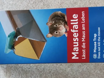 Trixie Mausefalle Lebendfalle 4192 Transparent Tierfreundlich Nagerfalle