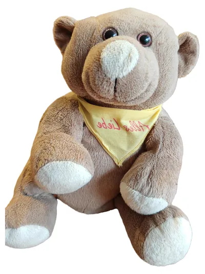 Verlagsgruppe KIM Teddybär Plüschtier Braun Kuscheltier mit Halstuch