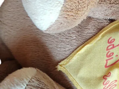 Verlagsgruppe KIM Teddybär Plüschtier Braun Kuscheltier mit Halstuch