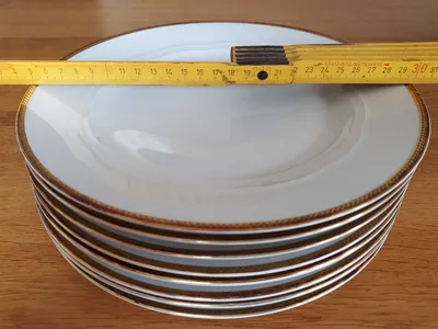 Bavaria Essteller Weiß Goldrand Klassisch Porzellan 25 cm Teller