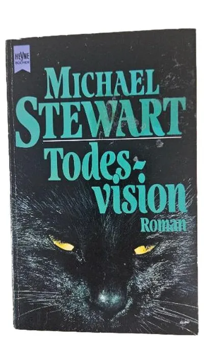 Michael Stewart Todesvision Horrorbuch Roman Heyne Taschenbuch Deutsch